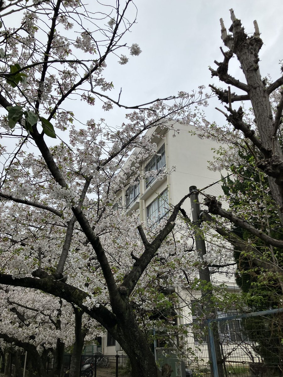 芳田尚哉 tweet media