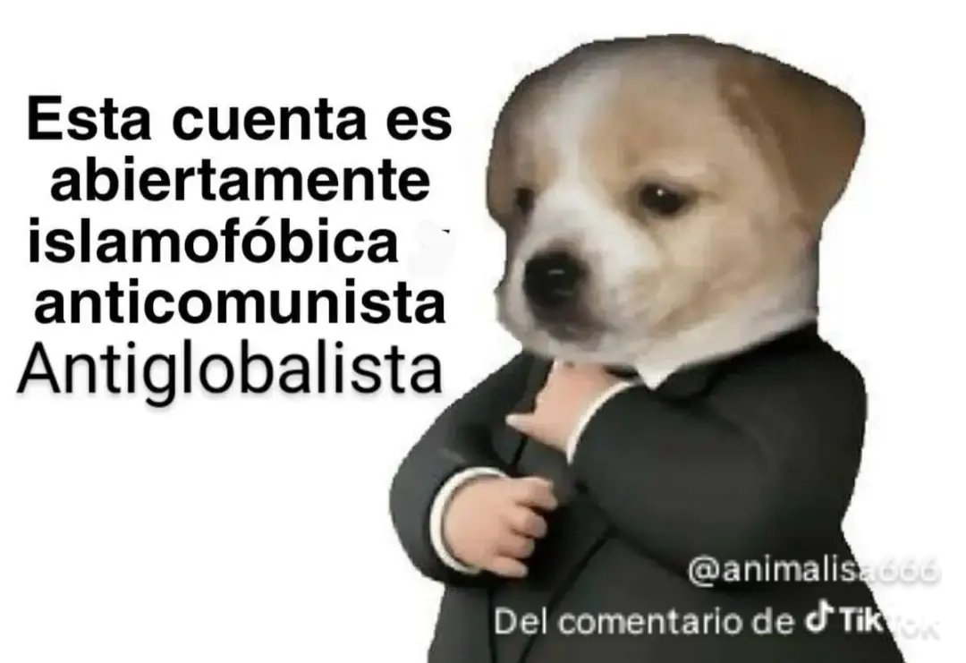 familymustangreturn733 tweet media