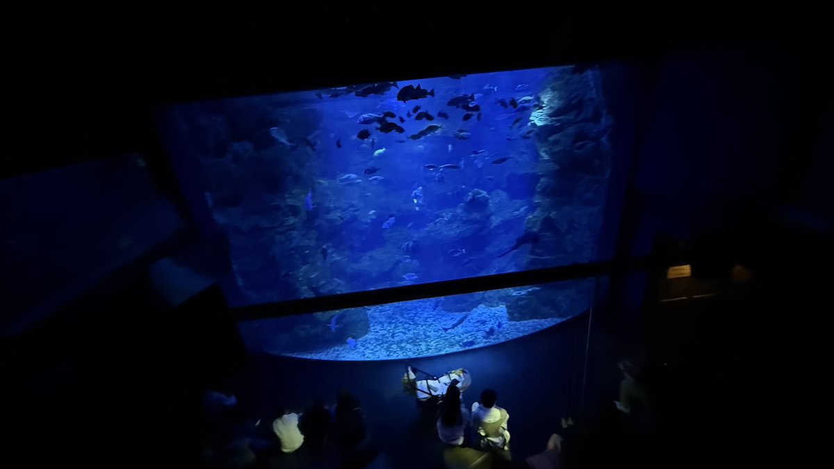 MaeT ユウキ零🐦‍🔥 tweet media