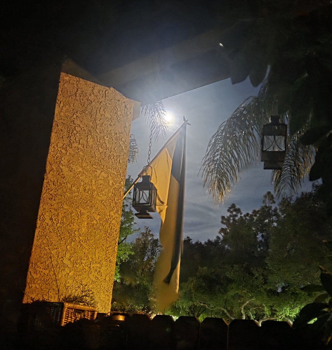 🦩Vanessa FELLA🦩 - Codename FLAMIGO tweet media