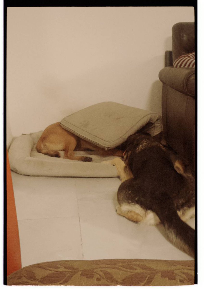 Владимир tweet media