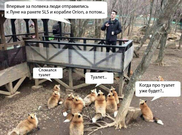 Шизойд tweet media