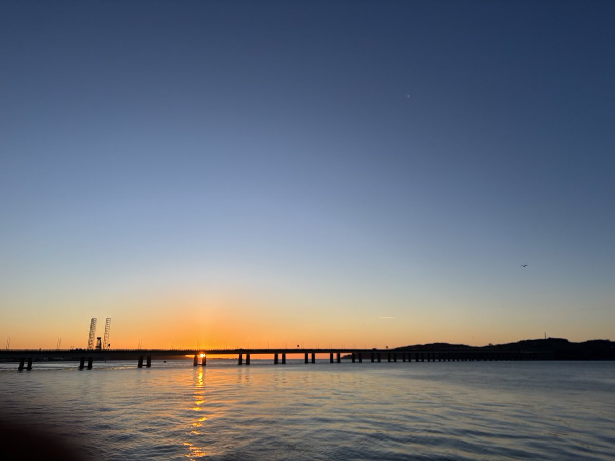 DevilMayCare tweet media