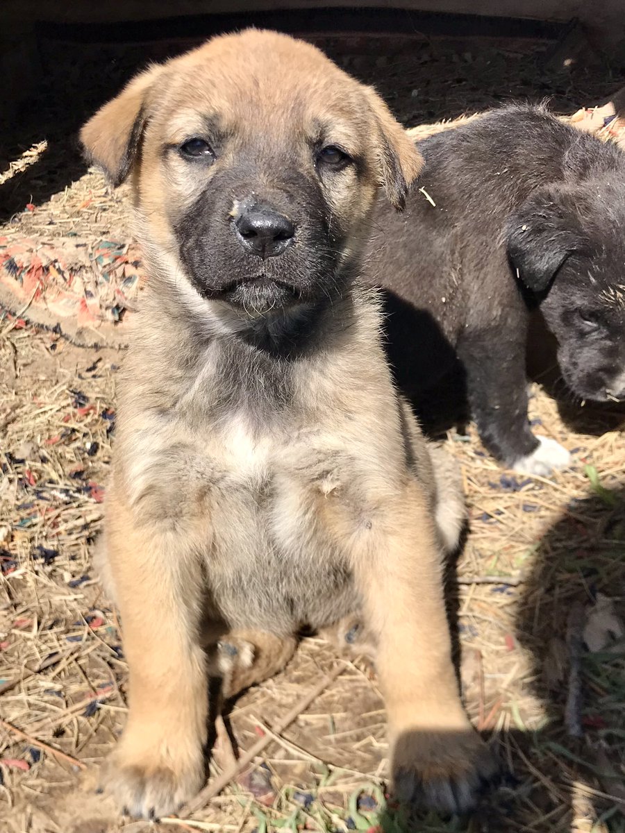 Hakan ÜNSAL tweet media