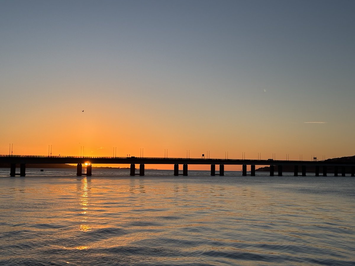 DevilMayCare tweet media