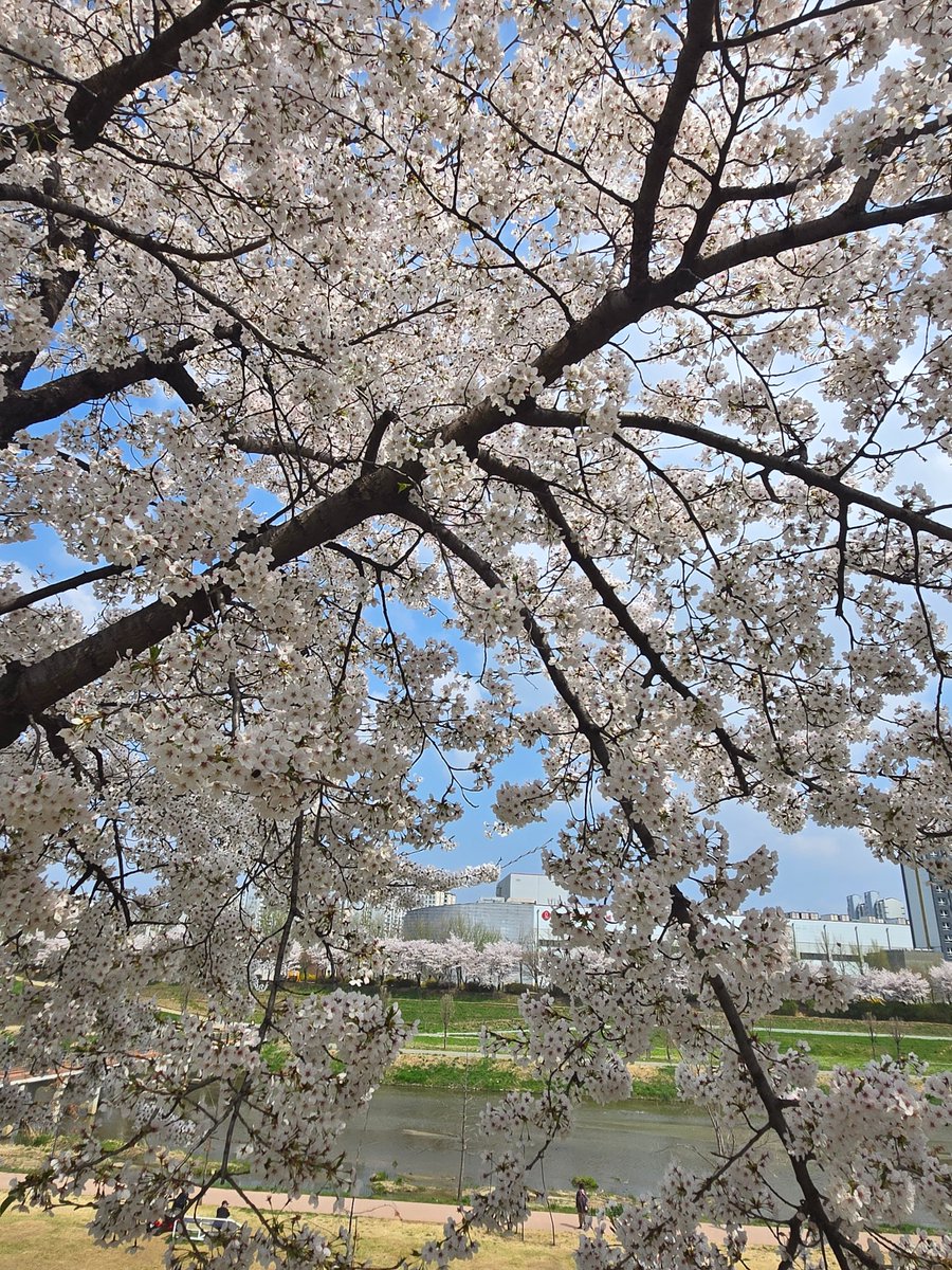 💛🇧 🇮 🇳💜 (빈이) tweet media