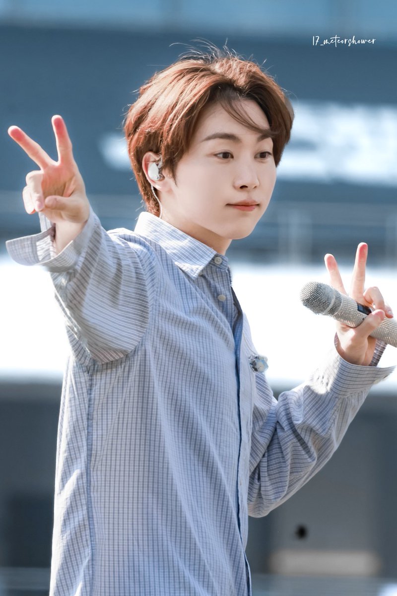 17_meteorshower tweet media