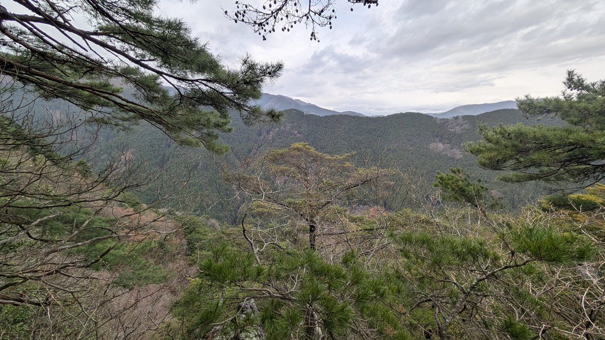 りうママ tweet media