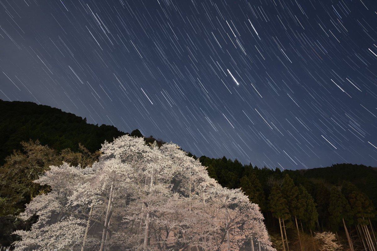 小森ＲＹＵ tweet media