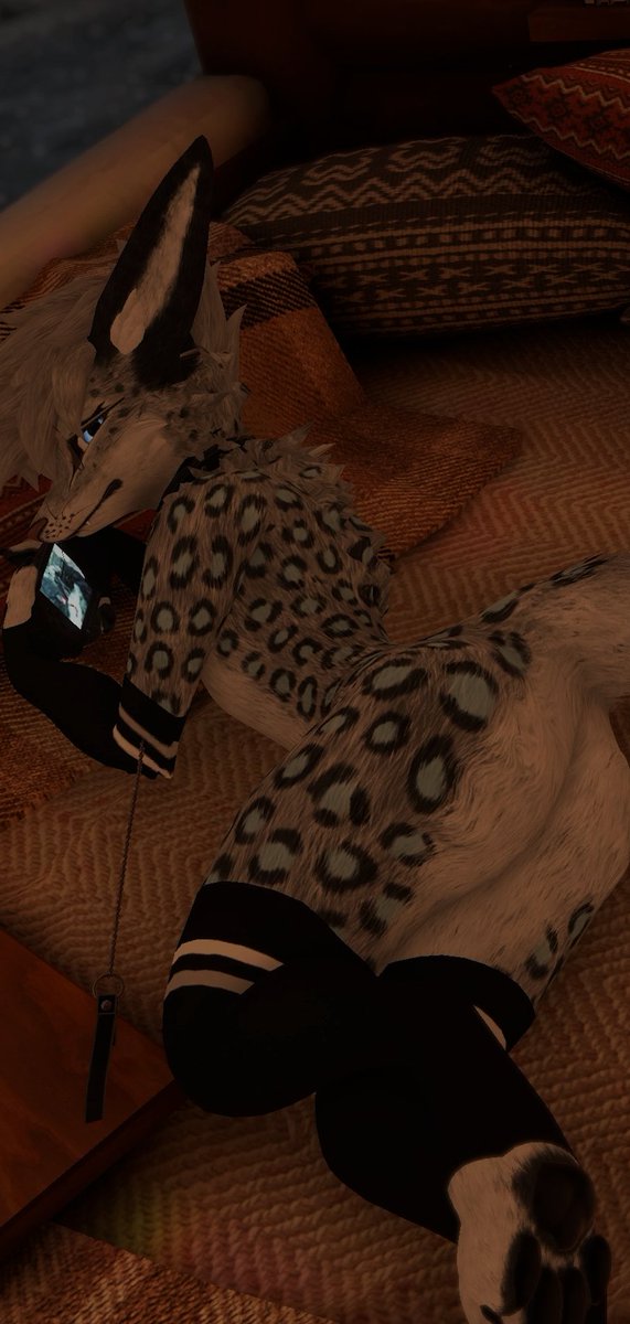 RodrisrelL tweet media