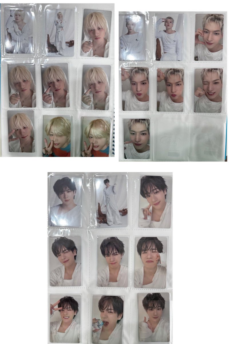 こむぎ🌱 tweet media