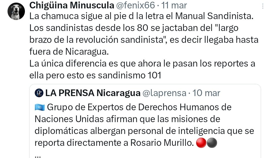 Chigüina Minuscula tweet media