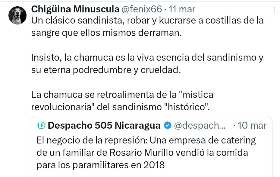 Chigüina Minuscula tweet media