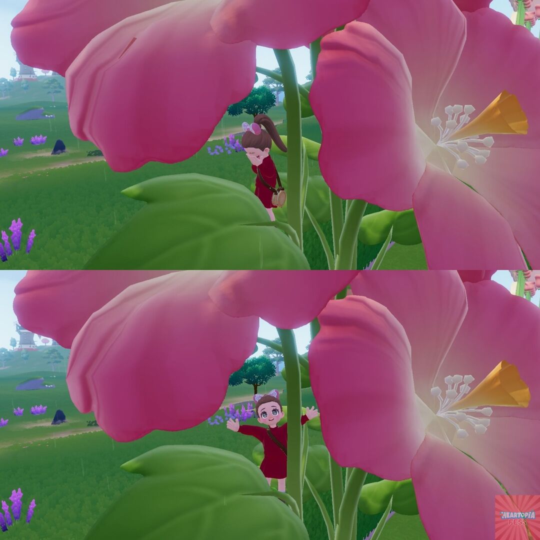 Heartopia Fess tweet media