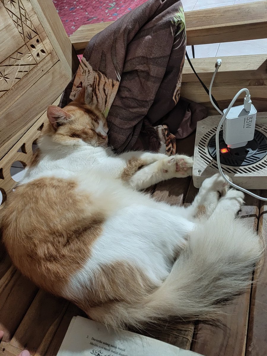 Aku adalah.. tweet media