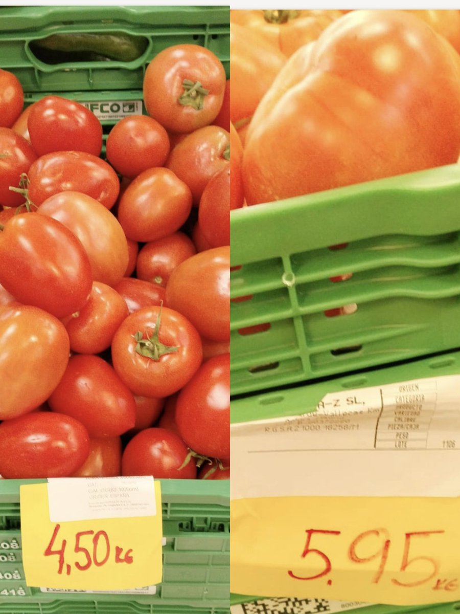 El Palleter tweet media