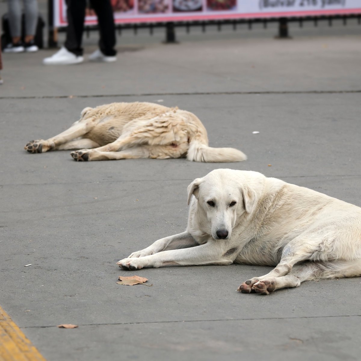 Boşuna Tıklama tweet media