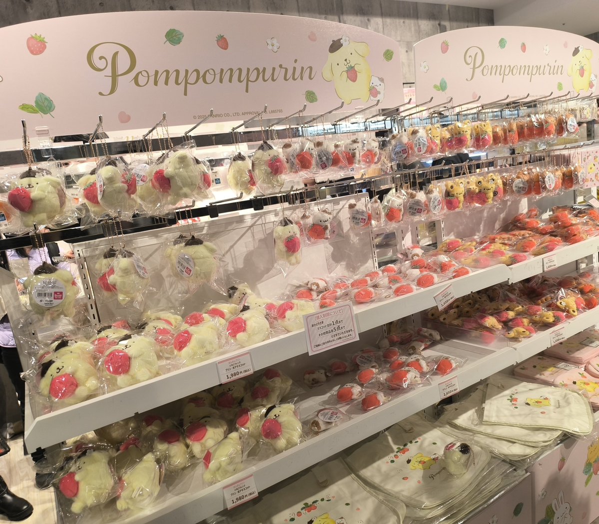 しなしな૮(꒪˙꒳˙꒪)ა tweet media