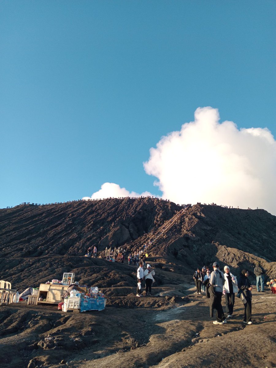 berr | @ after dm pls tweet media