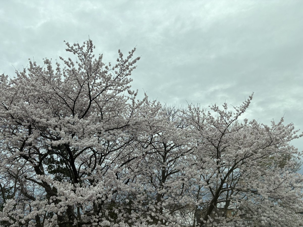 うんす様 tweet media