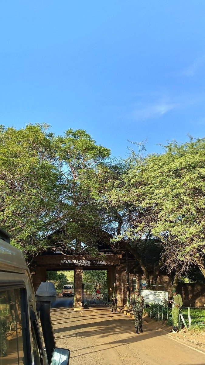 Joburg Adventures tweet media