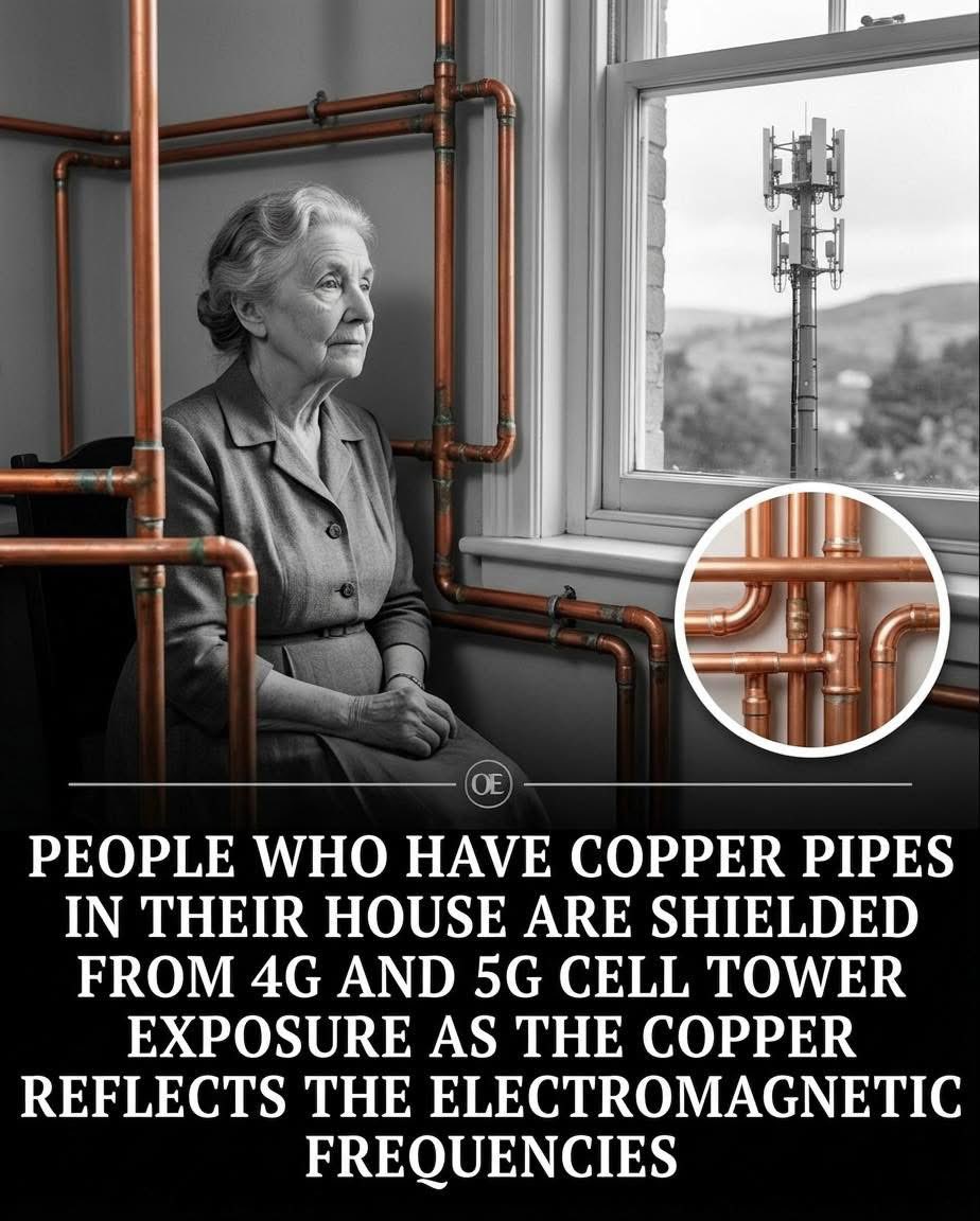 🧬Maxpein🧬 tweet media