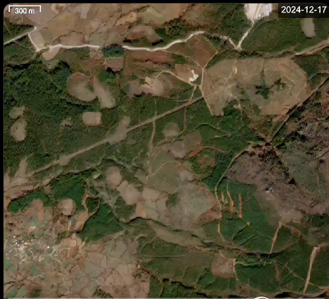 hilmi hacaloğlu tweet media