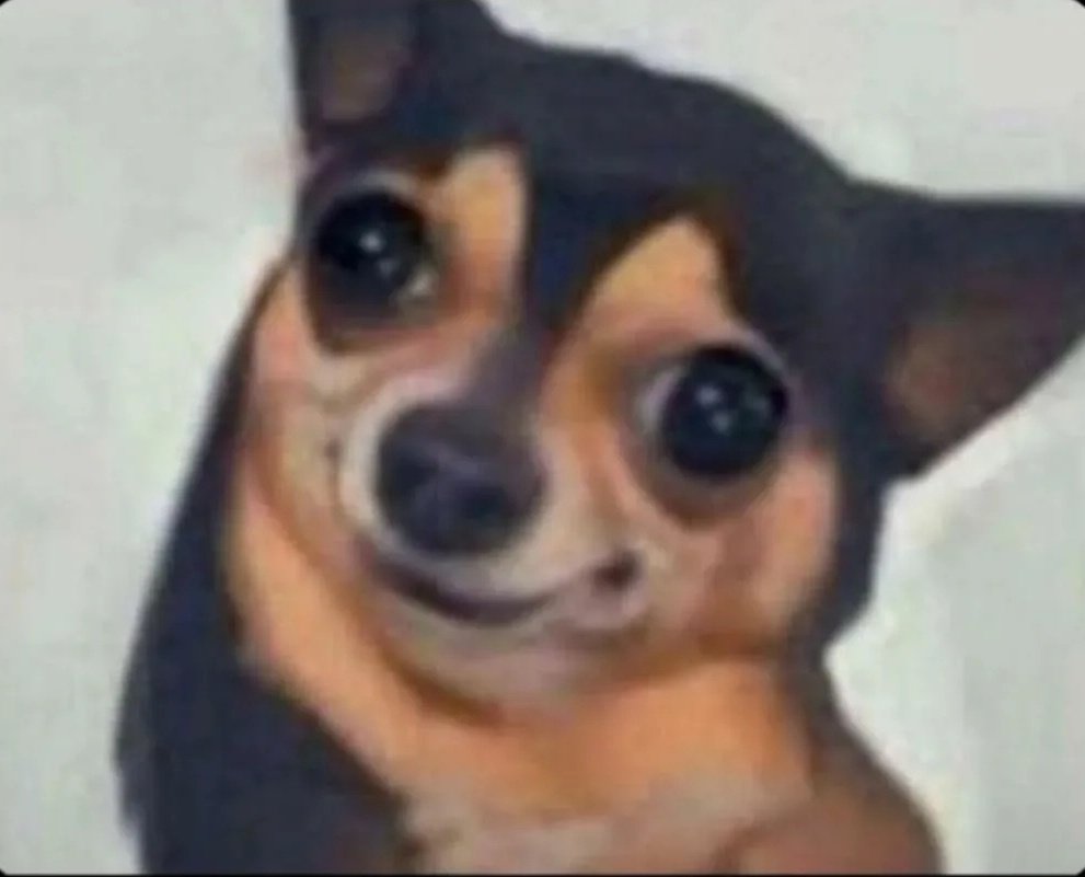 TroubleKing The Trader 📉📉 tweet media