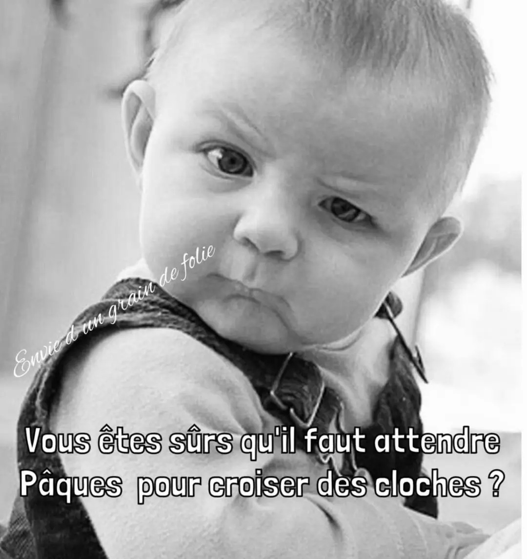 🇨🇵 LUCKAS (Lulu) 🇨🇵 tweet media