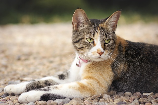 Jessica Bjorklund tweet media