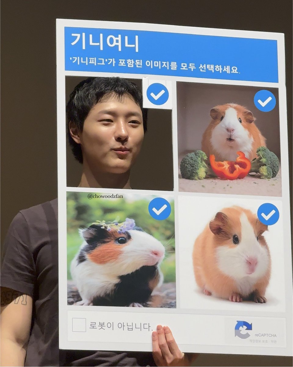 기니가 넷