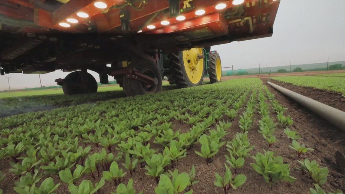 ScalpingX tweet media