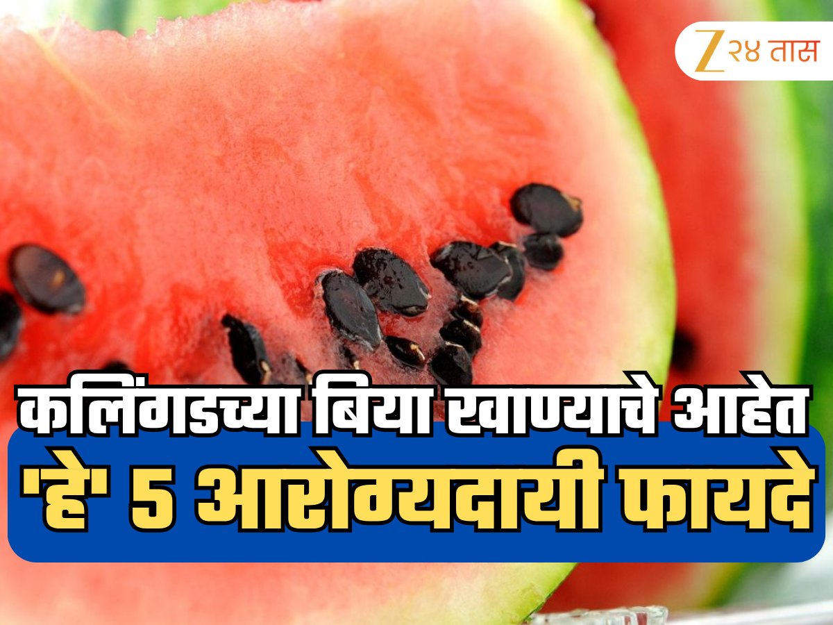 zee24taasnews's tweet image. कलिंगड खाताना बिया काढून टाकताय? थांबा! आधी त्यांचे जबरदस्त आरोग्यदायी फायदे तर जाणून घ्या #HealthNews #WatermelonSeeds #Benefits #Fitindia #hitindia
 zeenews.india.com/marathi/photos…