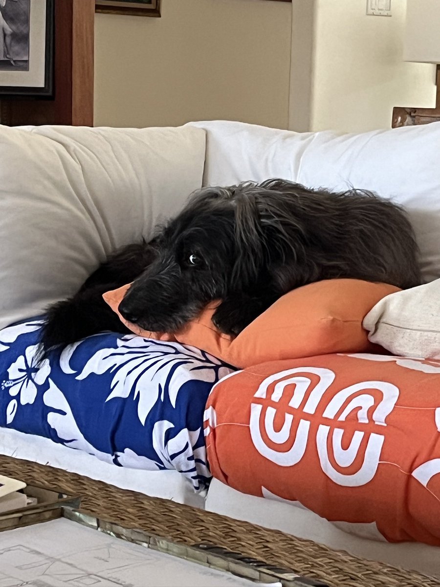 AnnieKins tweet media