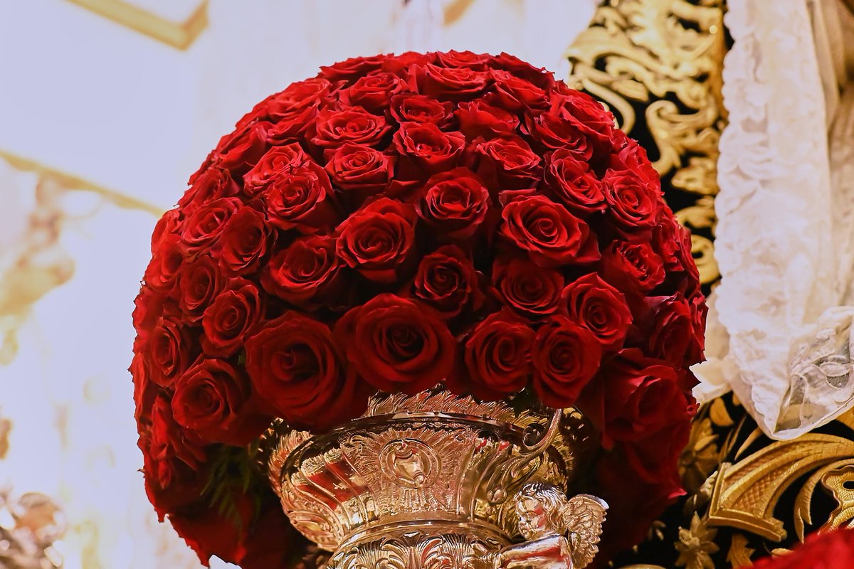 Real Hermandad Servita tweet media