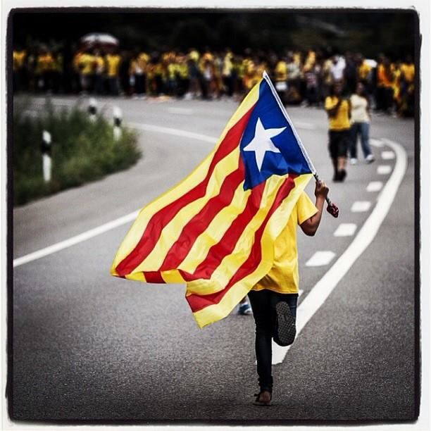 Capgròs emprenyat, GOI😁 tweet media