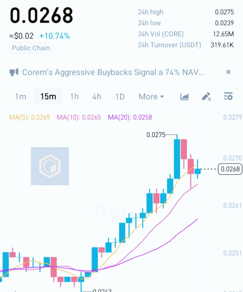 Mr Grace Clinton tweet media