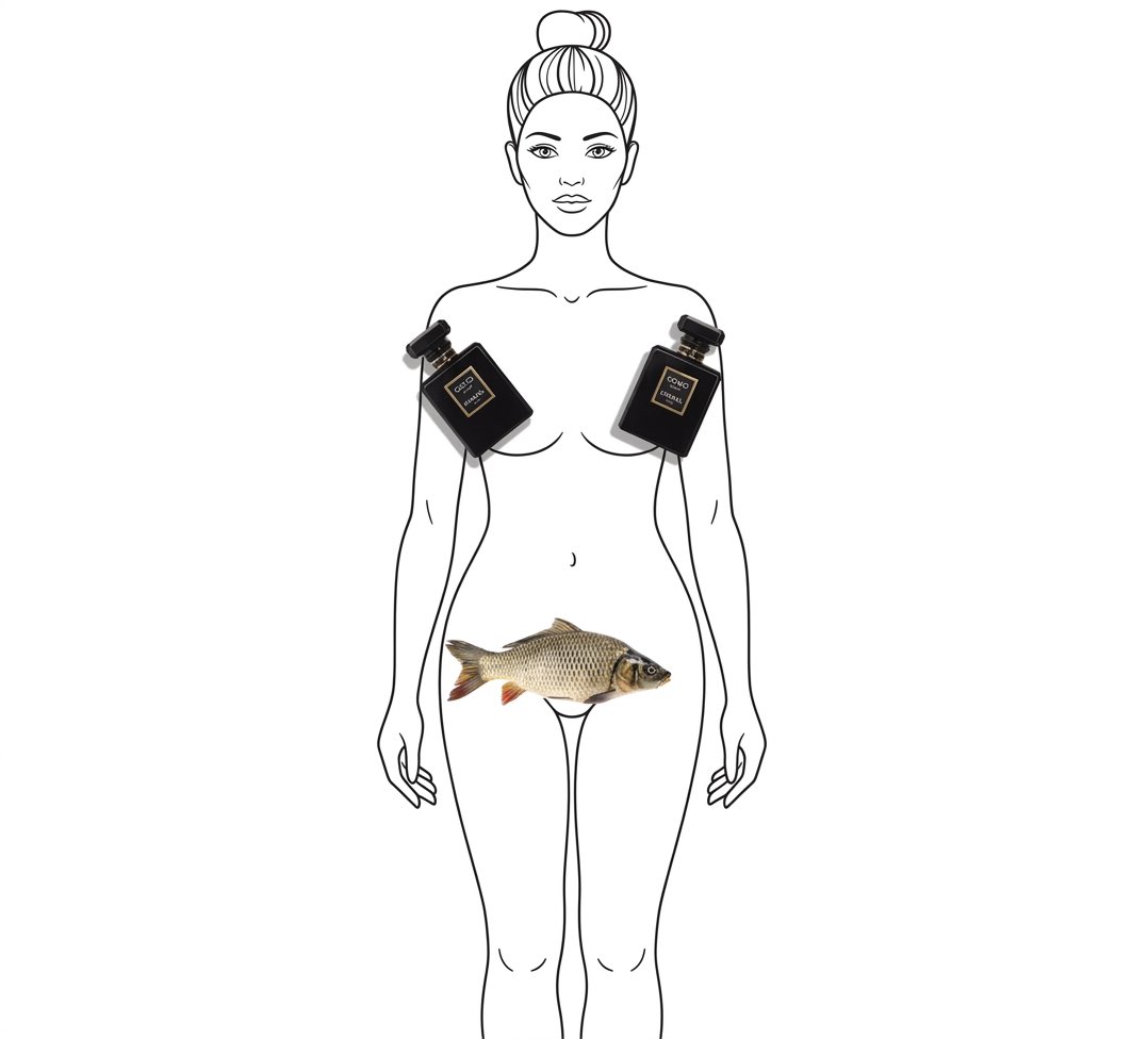 URBAN tweet media