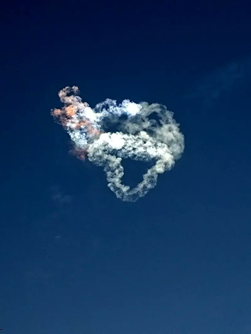 مهدی طیبی tweet media