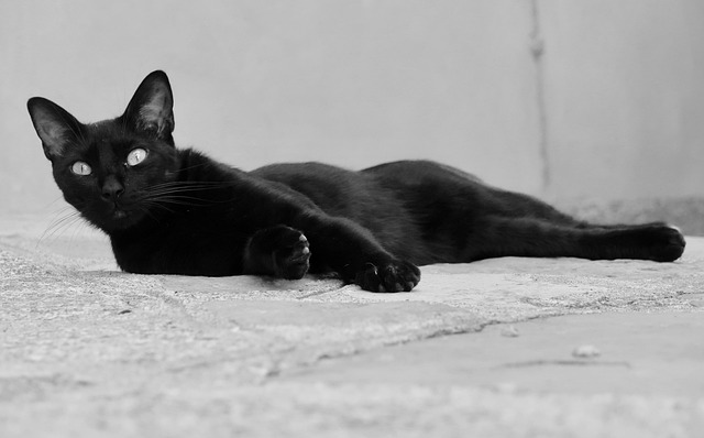 Russ Willis tweet media