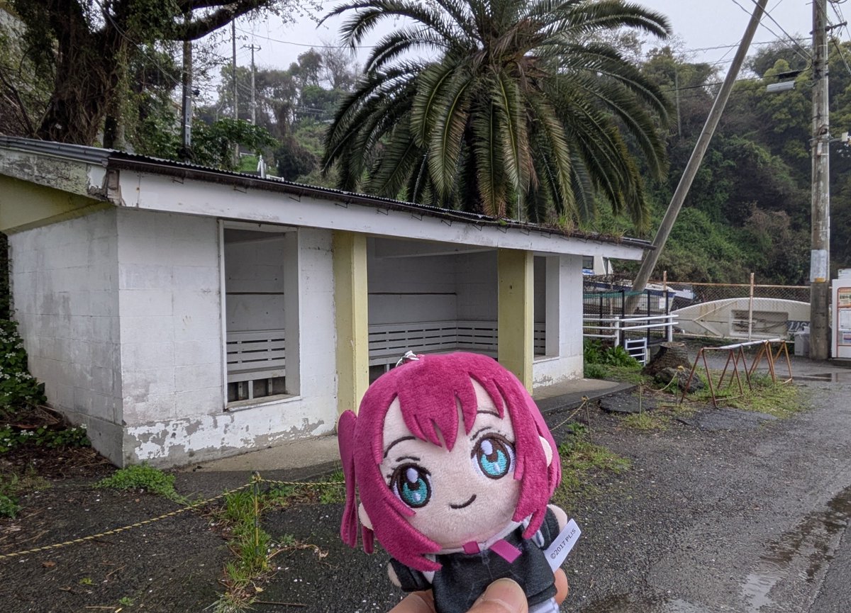 マカロニ tweet media