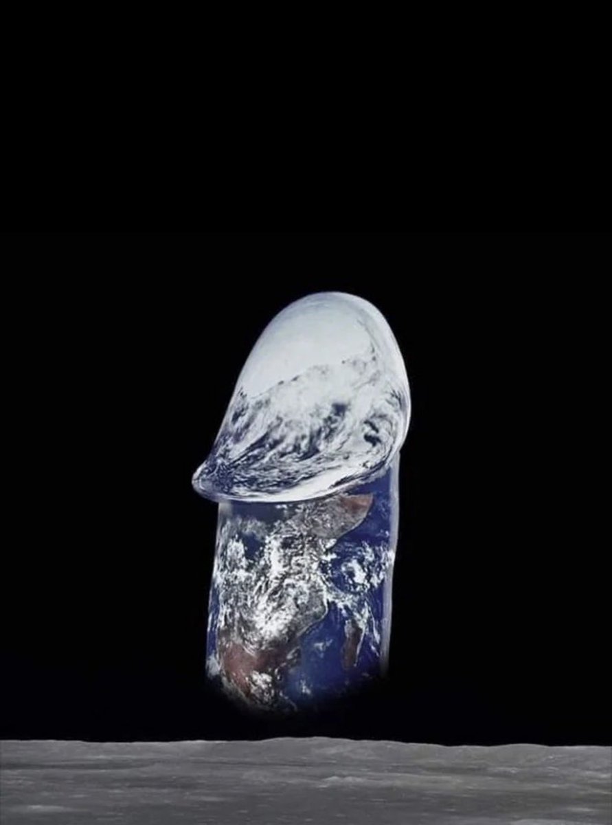 Jarvis McNigget tweet media