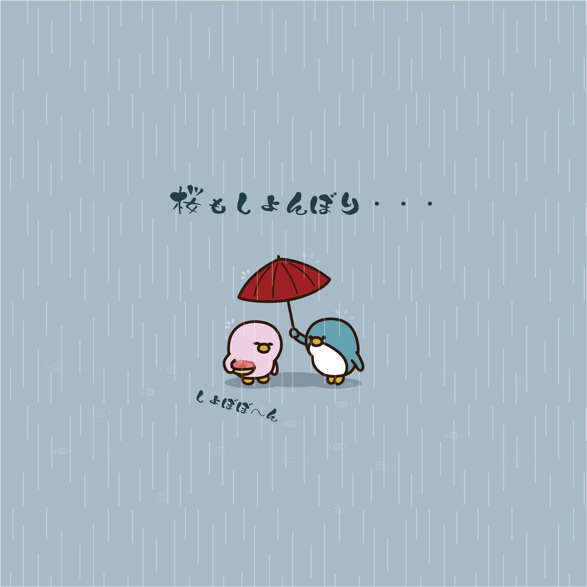 ペンギンのペギー tweet media