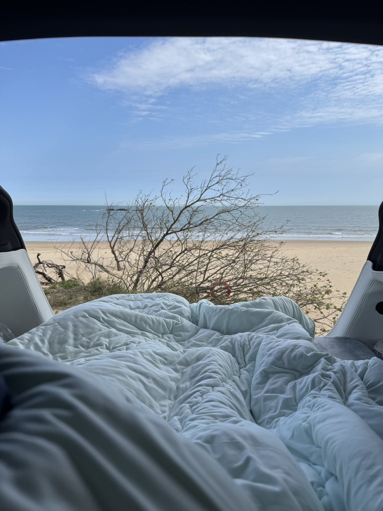 小马驹 哒哒哒 哒哒哒 tweet media