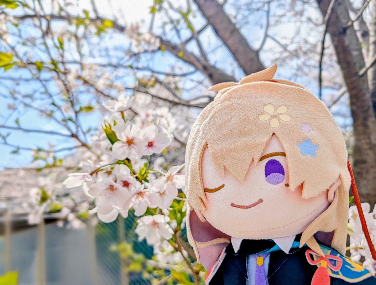 もみじ。 tweet media