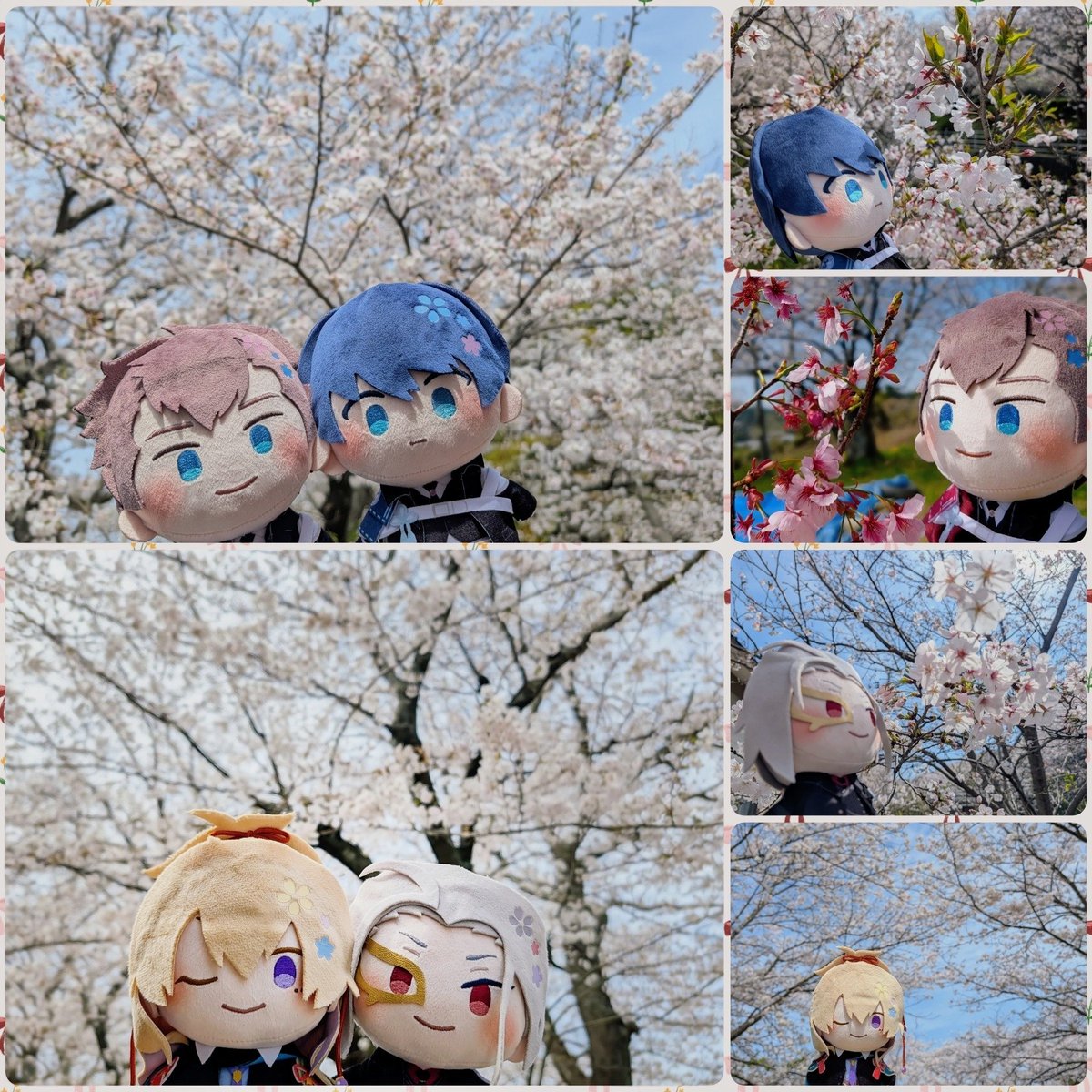 もみじ。 tweet media