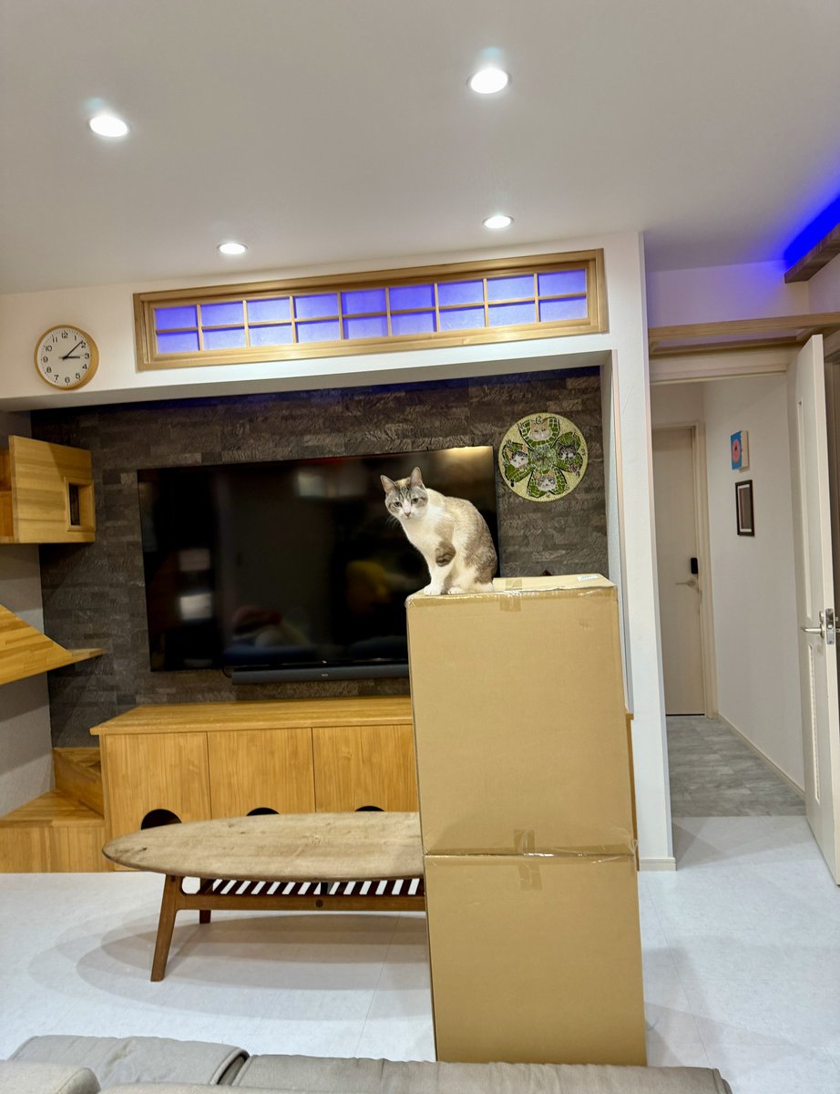 なみそ📕KEN/書籍重版！感謝📙 tweet media