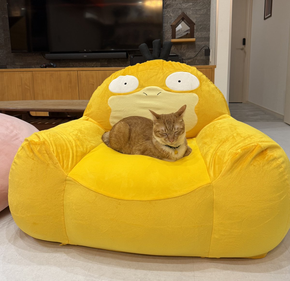 なみそ📕KEN/書籍重版！感謝📙 tweet media