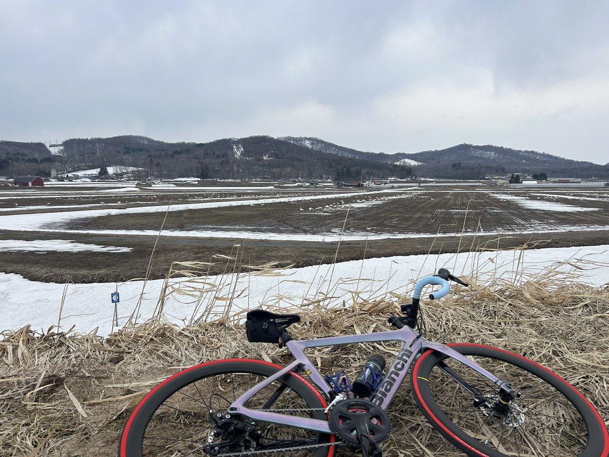 透海 tweet media
