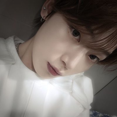 cecilia |`ENHYPEN IS 7 tweet media